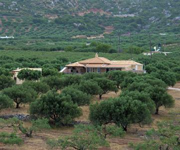 Villa Kalliopi Zakros