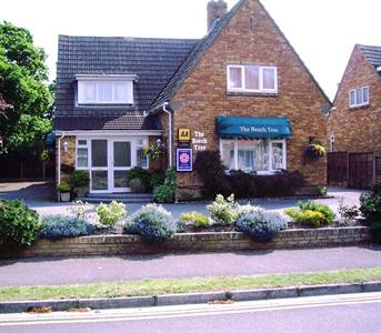 The Beech Tree Guesthouse Christchurch (England)