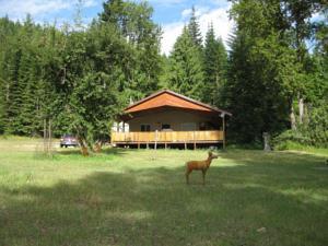 St Joe River Cabin