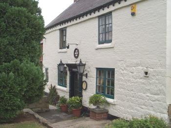 The Spotted Cow