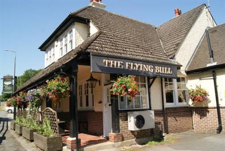 The Flying Bull Inn Liss