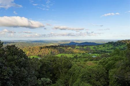 Treetops Montville