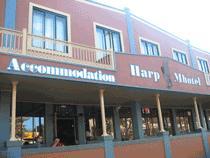 Harp Hotel Wollongong