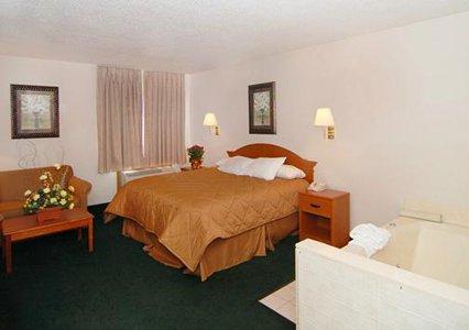 Comfort Inn Airport Flint