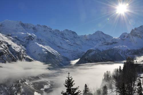 Ferienwohnung Edelweiss Murren