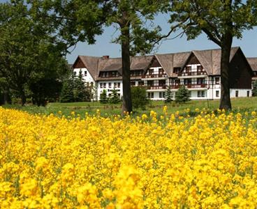 Waldhotel Kreuztanne Sayda