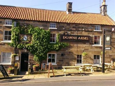 The Downe Arms