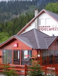 Cabana Edelweiss
