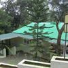 Green Resort Chalakudy