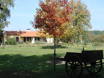 Casa Das Palmeiras