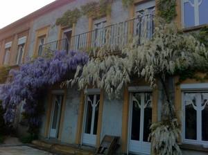 Chambres d'hotes Les Glycines