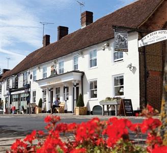 Dog & Bear Hotel