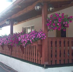 House Mara