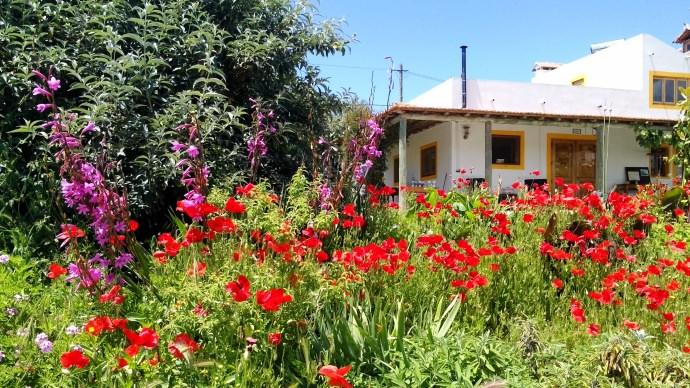 Homestay In Leiria Vimeiro Alcobaca