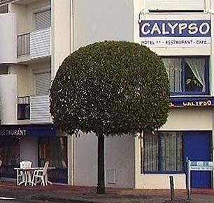 Calypso Hotel Dax