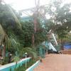 KS8 Guest House