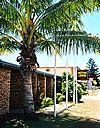 Proserpine Motor Lodge