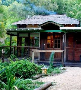 Amazing Wollumbin Palms Retreat Mount Warning