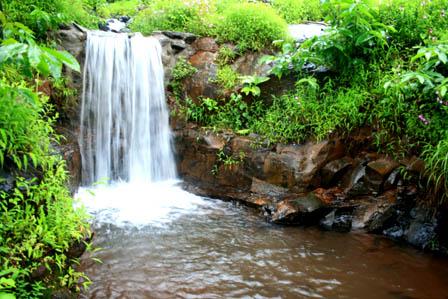 Stay in a Farm in Raigad