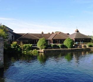 The Dolphin