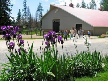 Western Pleasure Guest Ranch