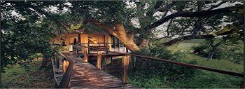 The River Lodge At Thornybush