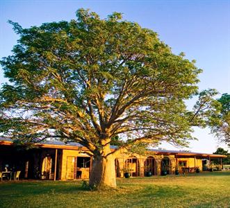 Bullo River Station