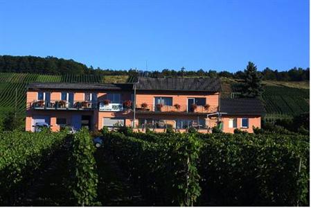 Weingut-Pension Tiliahof