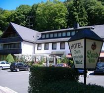 Hotel Zum Grunen Wald Villmar