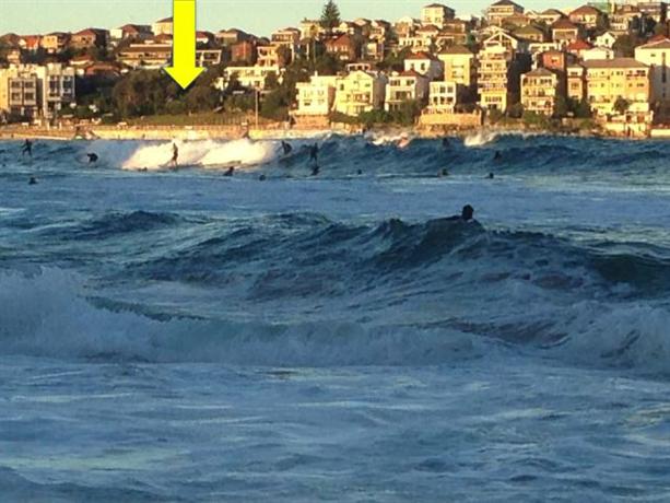 Homestay in North Bondi near Bondi Golf Course