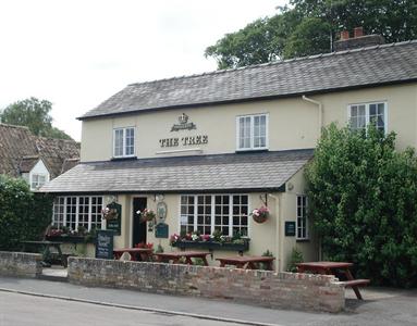 The Tree Guest House