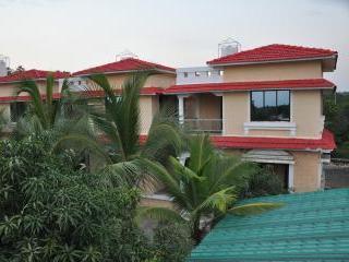 Lion's Paw Resort