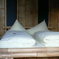 Thai Thuna