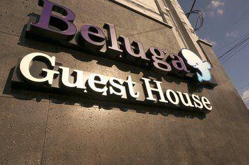 Beluga Guest House - Hostel