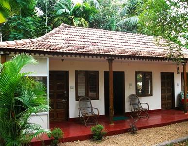 Vedanta Wake Up Along The Dreamy Backwaters Alleppey