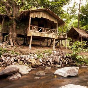 Dreamcaught Tree Houses