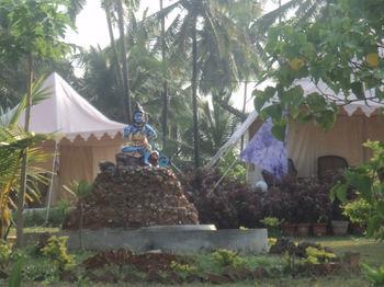 Five Five Restaurant and Guest Tents