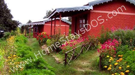 20 Acre Organic Farm Overlooking Almora