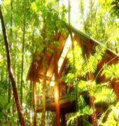 Fur 'n' Feathers Rainforest Tree Houses