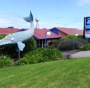 Blue Whale Motor Inn & Apartments