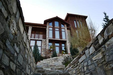 Art Dolen Villa