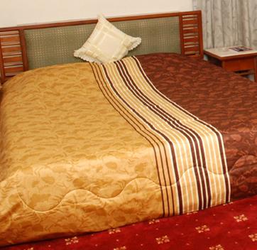 Maharaja Residency Hotel