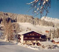 Alpbach Apartments