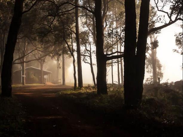 Balingup Heights Hilltop Forest Cottages