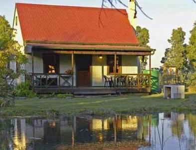 Forest Edge Nature-lovers' Retreat