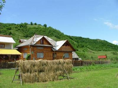 Pensiunea Ilea