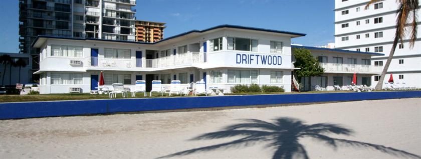 Driftwood on the Ocean