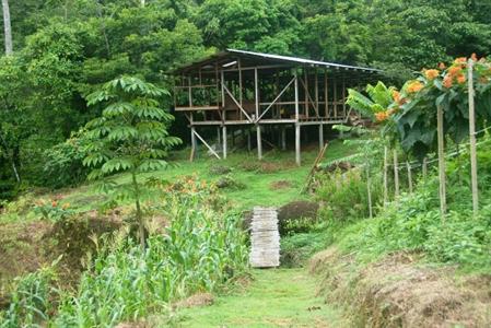 Rambala Jungle Lodge