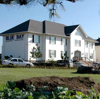 Bluebay Pension