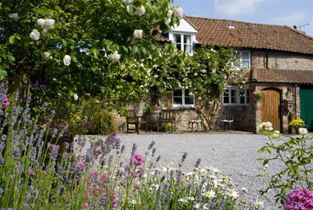 The Old House Nether Stowey